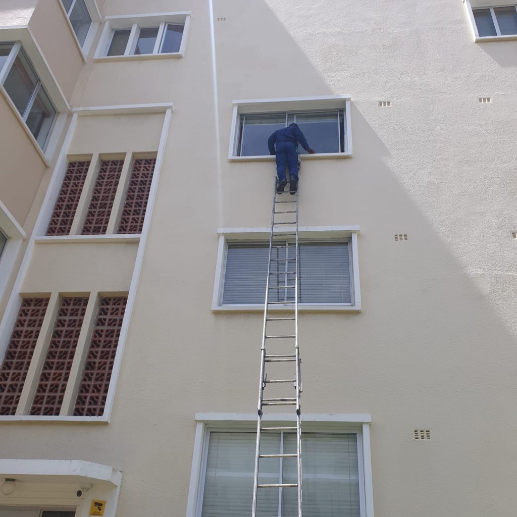 window cleaning newlands